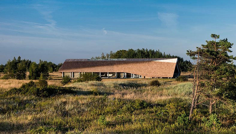 The Dune House