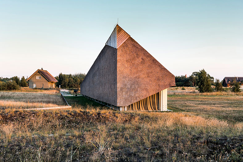 The Dune House