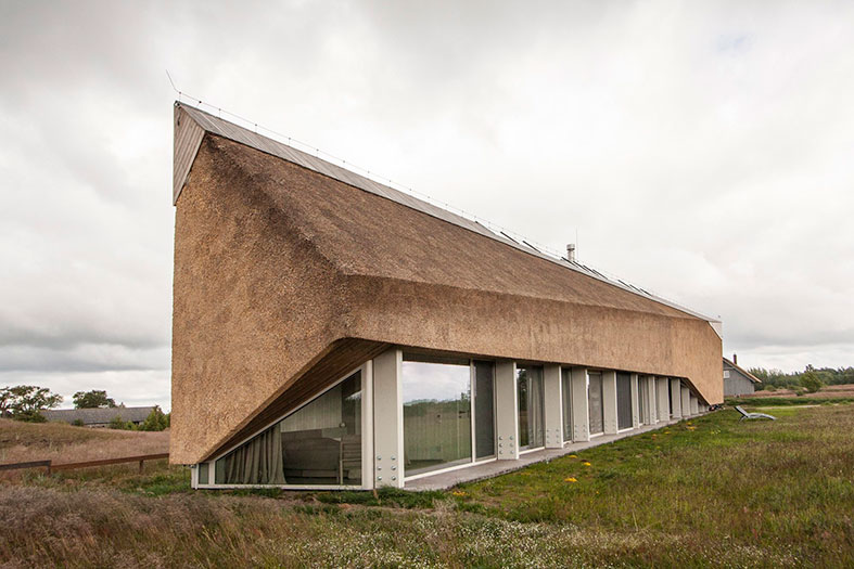 The Dune House